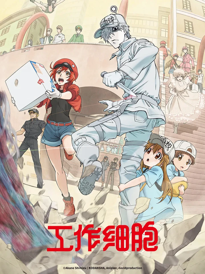 工作细胞
