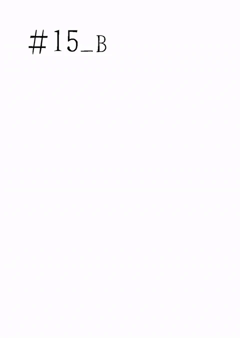 第15.5话 封面