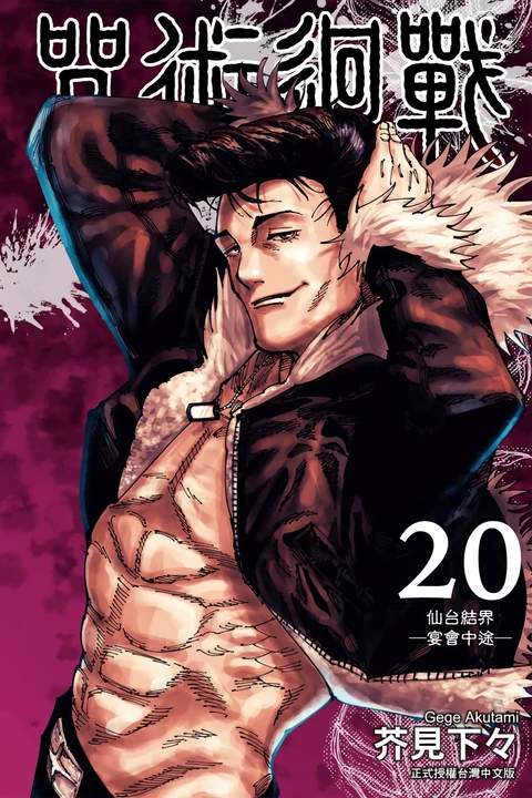 第20卷 封面